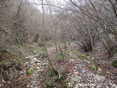 Le Arette, Sorti, Sefro, MC - Fonte orale: Luoghi dell'Immaginario, Ricerca del tesoro