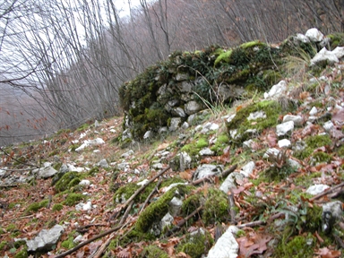 Carbonaia, Cerreto, Sefro, MC - Fonte orale: Civile, Attività Produttiva