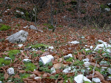 Carbonaia, Cerreto, Sefro, MC - Fonte orale: Civile, Attività Produttiva