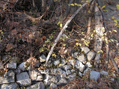 Fosso San Simone, Casali, Ussita, MC - Fonte orale: Luoghi dell'immaginario, Paura