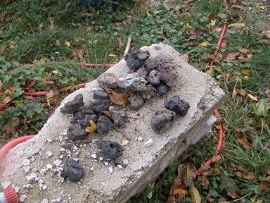 San Rocco, Casali, Ussita, MC - Fonte orale: Civile, Attività Produttiva