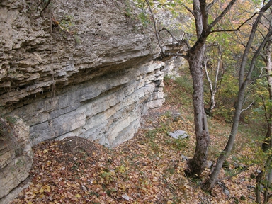 Grotta Sant'Angelo, Casali, Ussita, MC - Fonte orale: Civile, Viabilità