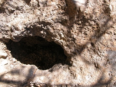 Grotta dei Muti, Casali, Ussita, MC - Fonte orale: Luoghi dell'Immaginario, Ricerca del tesoro