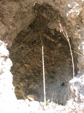 Grotta dei Muti, Casali, Ussita, MC - Fonte orale: Luoghi dell'Immaginario, Ricerca del tesoro