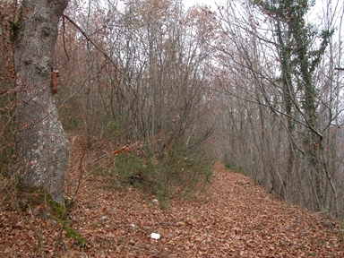 Madonna, Vallestretta, Ussita, MC - Fonte orale: Luoghi dell'immaginario, Paura