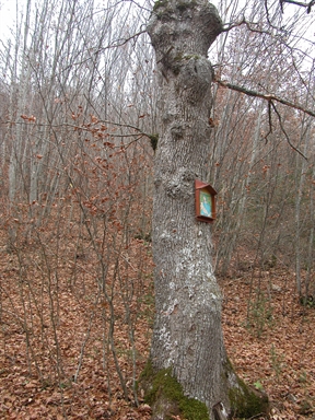 Madonna, Vallestretta, Ussita, MC - Fonte orale: Luoghi dell'immaginario, Paura