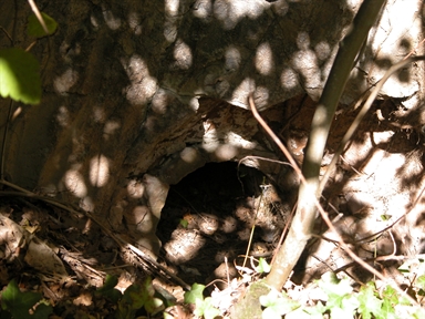 Fornace, Casa Coletta, Amandola, FM - Fonte orale: Civile, Attività Produttiva