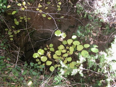 Fornace, Casa Coletta, Amandola, FM - Fonte orale: Civile, Attività Produttiva