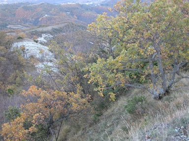 Forchetta di Paterno, Paterno, Amandola, FM - Fonte orale: Luoghi dell'immaginario, Ricerca del tesoro
