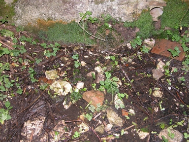 Fonte di santa Lucia, Vezzano, Arquata del Tronto, AP - Fonte orale: Rituale-Terapeutica, Sorgente