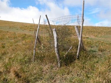 Forca canapine, Capodacqua, Arquata del Tronto, AP - Fonte bibliografica: Apparizioni, Madonna
