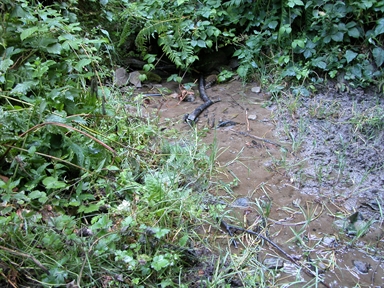 Fonte santa Maria del Chiarino, Colle, Arquata del Tronto, AP - Fonte orale: Terapeutica, Sorgente