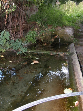 Fonte Vecchia, Spelonga, Arquata del Tronto, AP - Fonte orale: Rituale, Ciclo dell´anno