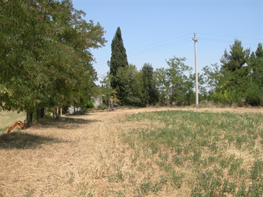 La Pianetta, Castellarso Ete, Belmonte Piceno, FM - Fonte orale: Luoghi dell'immaginario-Civile, Tesoro-Gioco