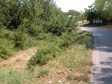 Fonte de lu Mercato, Castellarso Tenna, Belmonte Piceno, FM - Fonte orale: Civile, Accessoro produttivo