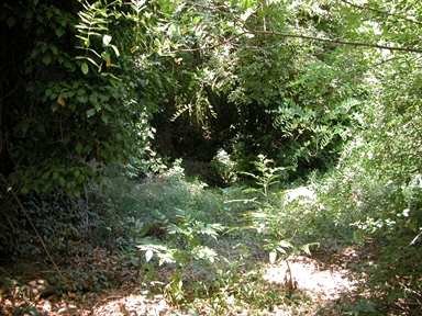 Pisciarello, Castellarso Ete, Belmonte Piceno, FM - Fonte orale: Civile, Sorgente