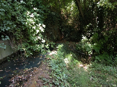 Pisciarello, Castellarso Ete, Belmonte Piceno, FM - Fonte orale: Civile, Sorgente