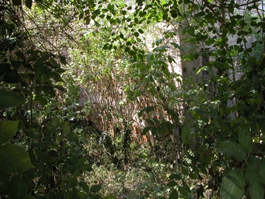 Molino, Castellarso Tenna, Belmonte Piceno, FM - Fonte orale: Civile, Area produttiva