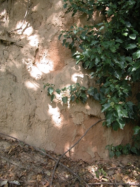 Monte Parigi, Gesso, Comunanza, AP - Fonte bibliografica: Civile, Fornace