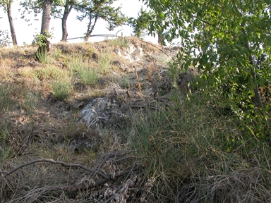 Fonte orale - Terapeutica - Grotta