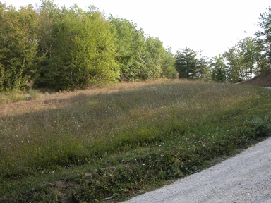 Fonte orale - Luoghi dell''immaginario - Paura