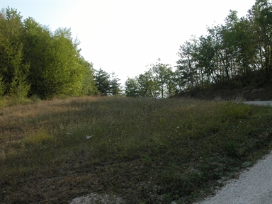 Fonte orale - Luoghi dell''immaginario - Paura