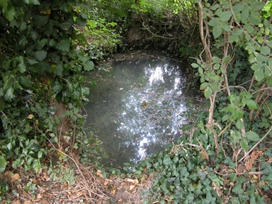 Le Trocche, Piaggiole, Falerone, FM - Fonte orale: Civile, Sorgente