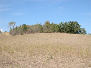san Ruffino, san Ruffino, Massa Fermana, FM - Fonte orale: Religiosa, Ciclo dell´anno