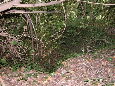 Pantano, Fonte Corata, Massa Fermana, FM - Fonte orale: Civile, Attività Produttiva