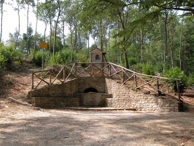 Fonte di san Francesco, San Francesco, Montefalcone Appennino, FM - Fonte orale: Terapeutica, Fonte