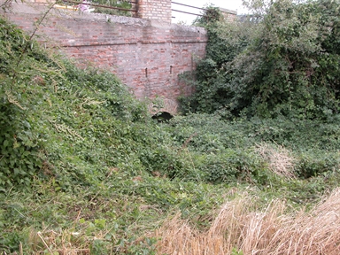 Ponte Tonno, San Biagio, Montefalcone Appennino, FM - Fonte orale: Luoghi dell'Immaginario, Ricerca del tesoro
