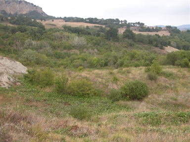 Moiavacca, Faveto, Montefalcone Appennino, FM - Fonte orale: Civile, Attività Produttiva