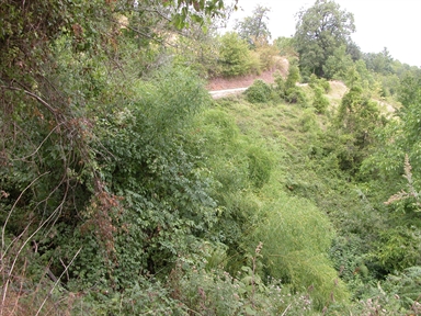 Fonte della Neviera, San Biagio, Montefalcone Appennino, FM - Fonte orale: Luoghi dell'Immaginario, Paura