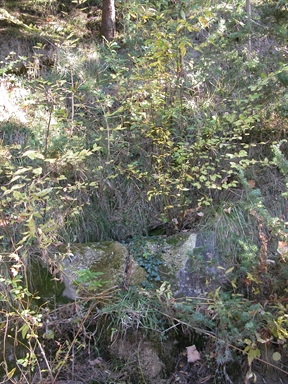 Fonte di San Giovanni, Cerretana, Montefortino, FM - Fonte orale: Terapeutica, Sorgente