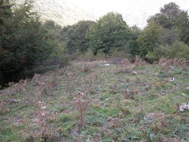 Prati di sant'Antonio, Rubbiano, Montefortino, FM - Fonte orale: Luoghi leggendari, Chiesa