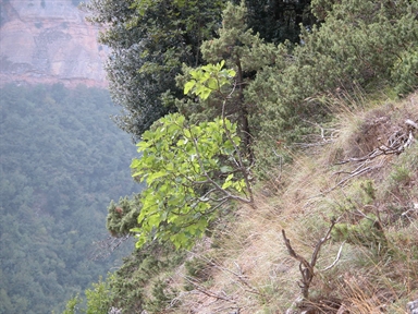 Le Rotte, Valle, Montefortino, FM - Fonte orale: Religiosa, Ciclo dell´anno