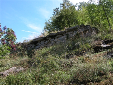 Fonte orale - Luoghi dell''immaginario - Ricerca del tesoro