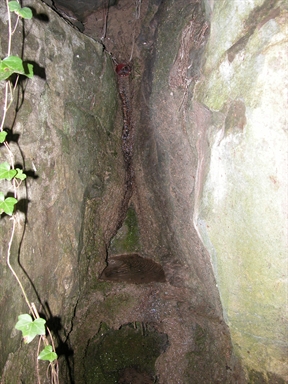 Fonte della Madonna del Carmine, Uscerno, Montegallo, AP - Fonte orale: Terapeutica, Sorgente