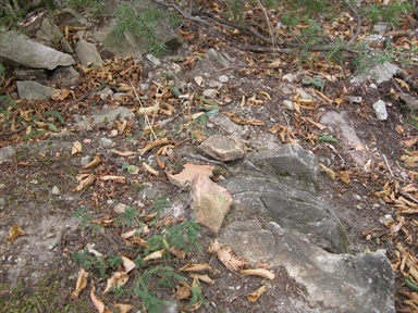 Tufino, Propezzano, Montegallo, AP - Fonte orale: Luoghi dell'Immaginario, Ricerca del tesoro