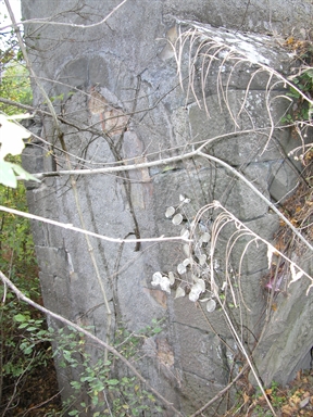 Edicola della Madonna, Migliarelli, Montegallo, AP - Fonte orale: Religiosa, Apparizioni