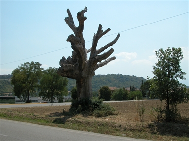 Quercia Bella, Piane di Montegiorgio, Montegiorgio, FM - Fonte orale: Luoghi dell'Immaginario, Paura