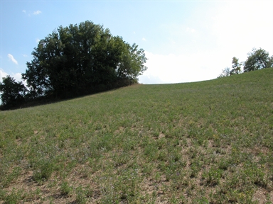 Il Monte, Coste, Montelparo, FM - Fonte orale: Luoghi dell'Immaginario, Ricerca del tesoro