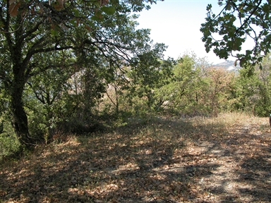 Fonte orale - Luoghi dell''Immaginario - Ricerca del tesoro