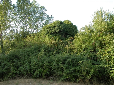 Fonte orale - Luoghi leggendari - Passaggi leggendari