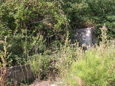 Fonte di san Flaviano, Crocefisso, Monte Rinaldo, AP - Fonte orale: Civile, Area produttiva