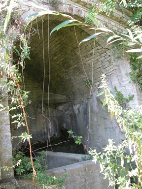 Fonte di san Flaviano, Crocefisso, Monte Rinaldo, AP - Fonte orale: Civile, Area produttiva