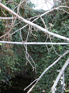 Lu Pantà, Cataluccia, Monte Vidon Corrado, FM - Fonte orale: Civile, Accessoro produttivo