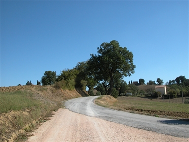 Fonte orale - Luoghi dell''Immaginario - Paura