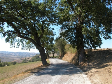 Fonte orale - Luoghi dell''Immaginario - Paura
