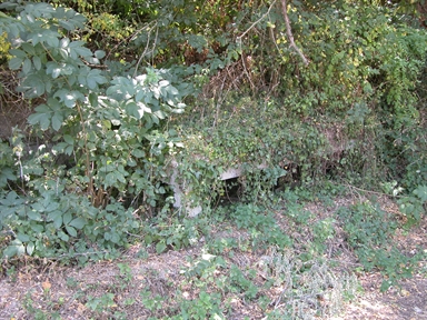 Fonte, Curetta, Servigliano, FM - Fonte orale: Civile, Accessoro produttivo